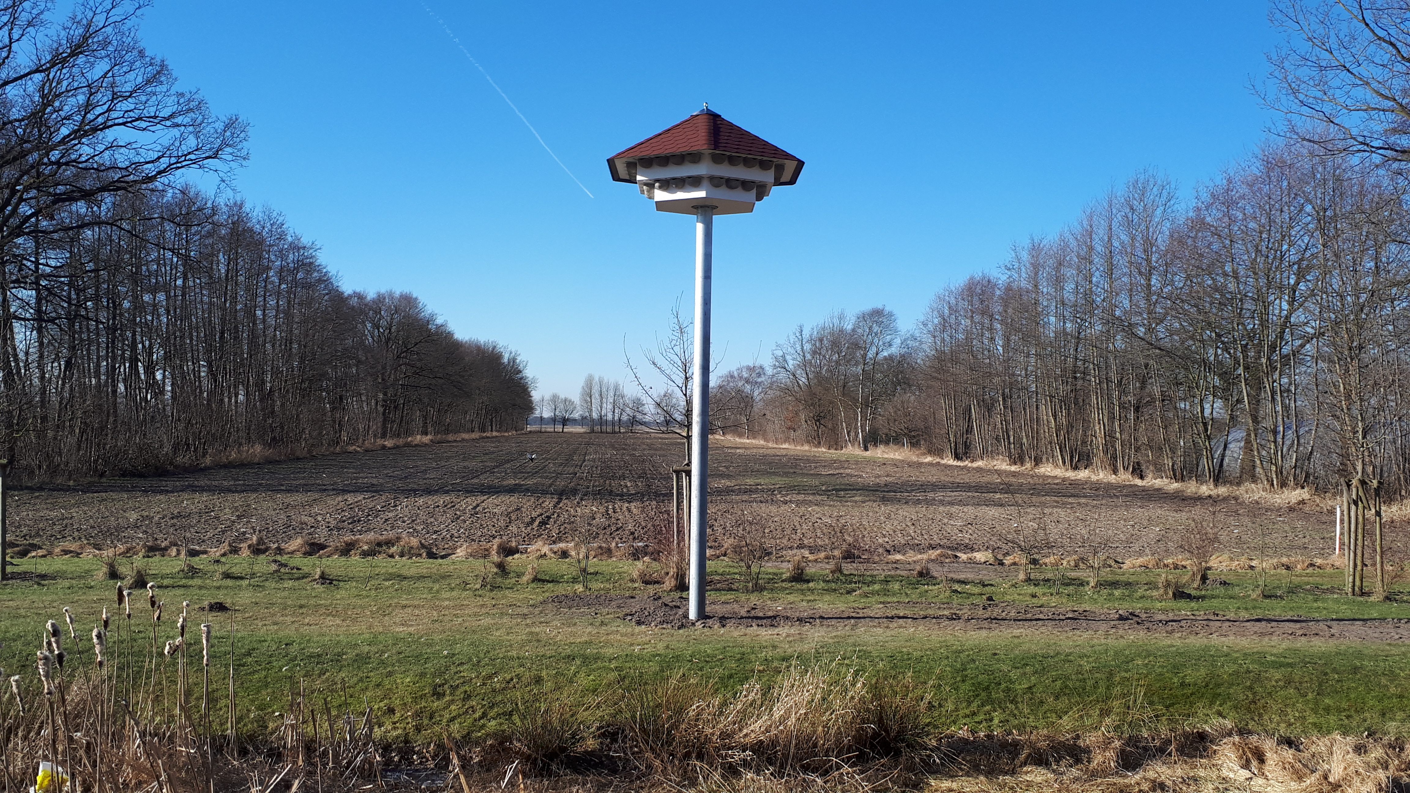 Schwalbenhaus