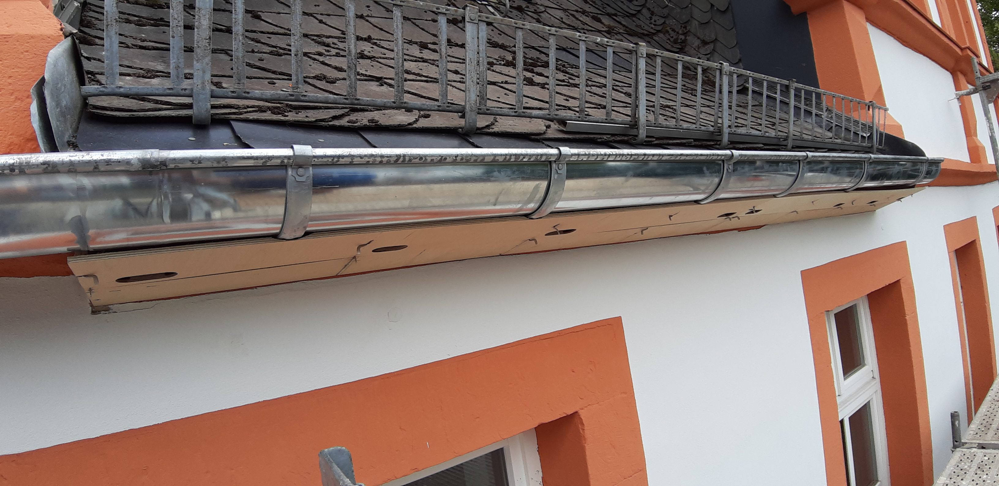 Mauersegler Nistkasten